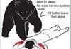 How to defend yourself from bears
