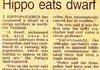 Hippo eats a dwarf