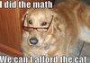 Mathematician Dog