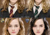 Hermione in different houses