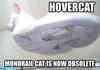 Hover cat fuck yeaahh
