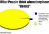 Homer Pie Chart