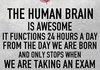 How the human brain works