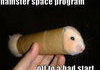 Hamster space program