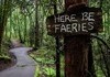 HERE BE FAERIES