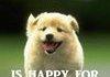 Happy Puppy
