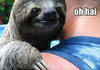 happy sloth is happy