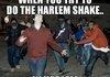 harlem shake in harlem