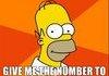 Homer Meme