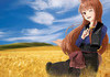 Holo in the Field