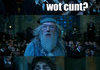 Harry! Wot cunt.