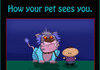How Your Pet Sees You