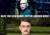 Have You Seen Harry Potter?