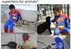He is a superhero