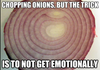 How to cut Onions