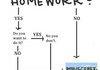 Home work vs minecraft