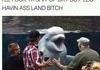 His Porpoise is to fuck you up.