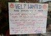 Help Wanted: not you, hipsters