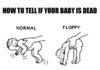 How to tell if your baby is dead.