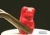 horrible gummy bear death