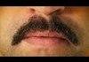How To Kill a Mustache