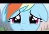 How could this happen to dashie