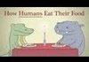 How humans eat their food?