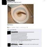 My Biggest Turd Ever My Biggest Turd Ever